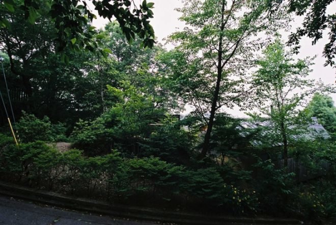 Koji Kakiuchi, hut, nara, japan, torri corridor, green design, eco-design, sustainable design, small footprint, charred timber, japanese cedar, sheltered terrace