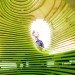 eco design, sustainable design, green design, sydney, emergency shelter exhibition, lava, green shelter, natural disaster, DIY, Customs House