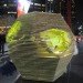 eco design, sustainable design, green design, sydney, emergency shelter exhibition, lava, green shelter, natural disaster, DIY, Customs House