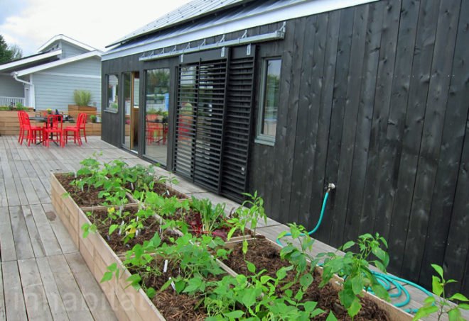 middlebury college, solar decathlon, 2011 solar decathlon, self-reliance house, middlebury college self-reliance, solar power, local materials, vermont materials, middlebury college solar decathlon, self reliance solar decathlon, solar power home