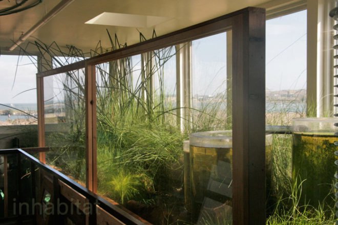 ecocenter, toby long, lej, literacy for environmental justice, san francisco, port of san francisco, sips, green building, green design, brownfields, passive, solar power, water, water filtration