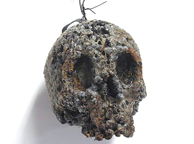 green design, eco design, sustainable design, skull sculptures, Helen Altman, DCKT Contemporary, Museum of Art and Design, seed sculptures, organic art