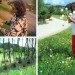 Regine Ramseier, Germany, German artist, ArToll Summer Lab, eco-art, eco-design, sustainable design, green design, inspired by nature, ethereal, adhesive