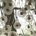 Regine Ramseier, Germany, German artist, ArToll Summer Lab, eco-art, eco-design, sustainable design, green design, inspired by nature, ethereal, adhesive