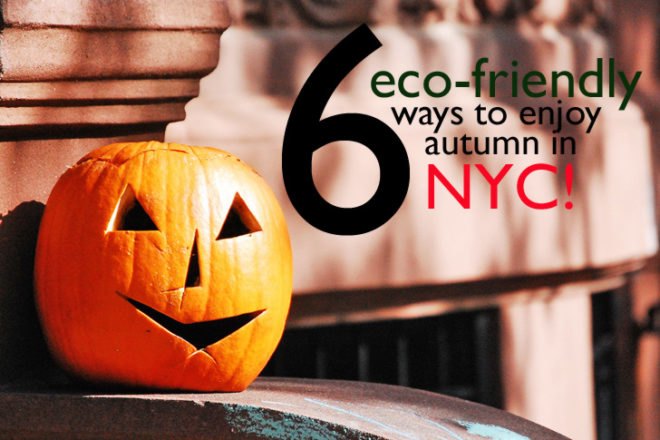 Eco-Friendly Fall Fun in NYC, fall activities, fall food, fall foliage, fall in new york, halloween new york, pumpkin picking nyc, queens country farm museum, haunted houses nyc, fall greenmarket vegetables
