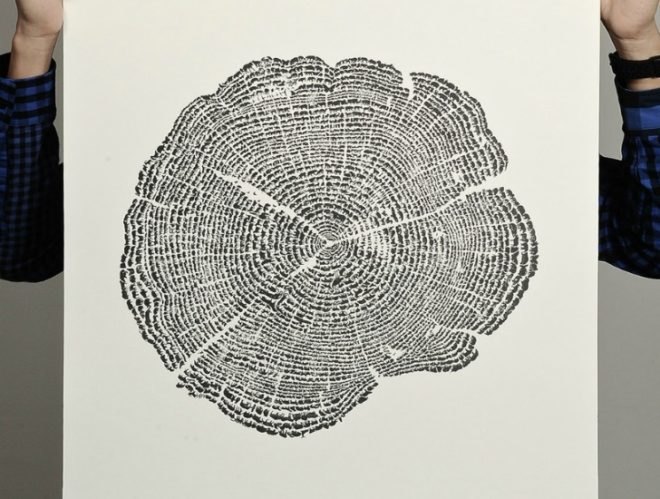 environmental print, degree, tree of life poster, recycled paper poster, lithograph print, tree print, animal species print
