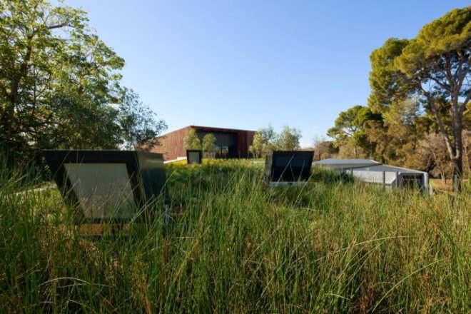 Adelaide Zoo Entrance, Hassel Studio, living walls, green roof, eco zoo, adelaide, australia