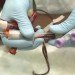 artificial blood, blood donation, blood supply, national blood supply, blood type, how to make artificial blood, design for health