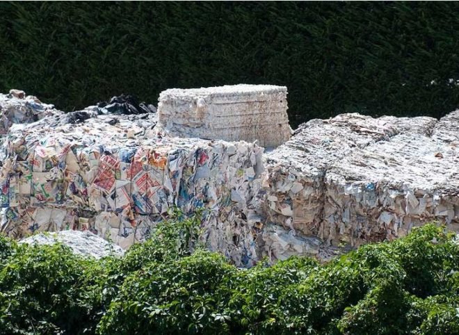 BPA, bisphenol A, bisphenol, what is bisphenol a, what is BPA, is BPA harmful, products with BPA, bpa free, bpa contamination, bpa disease, bpa receipt
