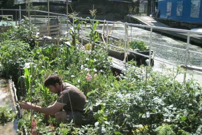 Water Issues,Urban design,Urban farming,Sustainable Food,social design,Modern Pets,London,Green Transportation,Bicycles,Floating Houses,floating community,floating vegetable patch,ducks as pets,lodnon floating community,british canals,narrow boat
