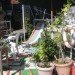 Water Issues,Urban design,Urban farming,Sustainable Food,social design,Modern Pets,London,Green Transportation,Bicycles,Floating Houses,floating community,floating vegetable patch,ducks as pets,lodnon floating community,british canals,narrow boat