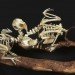 green design, eco design, sustainable design, Christy Rupp, Recycled Chicken bones, bones sculptures, fast food industry, genetically modified food, extinct birds