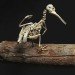 green design, eco design, sustainable design, Christy Rupp, Recycled Chicken bones, bones sculptures, fast food industry, genetically modified food, extinct birds