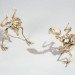 green design, eco design, sustainable design, Christy Rupp, Recycled Chicken bones, bones sculptures, fast food industry, genetically modified food, extinct birds