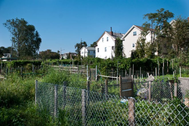 A Better World by Design; City Farm; urban agriculture; Southside Community Land Trust; CSA; Community Land Trust; community; land trust; urban; agriculture; urban landscape; green space; eco-farm; foreclosure; plots; garden; urban gardening; sustainability; farmers market; farmers markets; produce; plants; crops; food; food system; food systems; farming; farmer; farmers; urban farm; urban farming; crop production; self-sufficiency; energy efficient; energy efficiency; greenhouse; solar panel; solar panels; compost; composting; education; educational