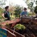 A Better World by Design; City Farm; urban agriculture; Southside Community Land Trust; CSA; Community Land Trust; community; land trust; urban; agriculture; urban landscape; green space; eco-farm; foreclosure; plots; garden; urban gardening; sustainability; farmers market; farmers markets; produce; plants; crops; food; food system; food systems; farming; farmer; farmers; urban farm; urban farming; crop production; self-sufficiency; energy efficient; energy efficiency; greenhouse; solar panel; solar panels; compost; composting; education; educational