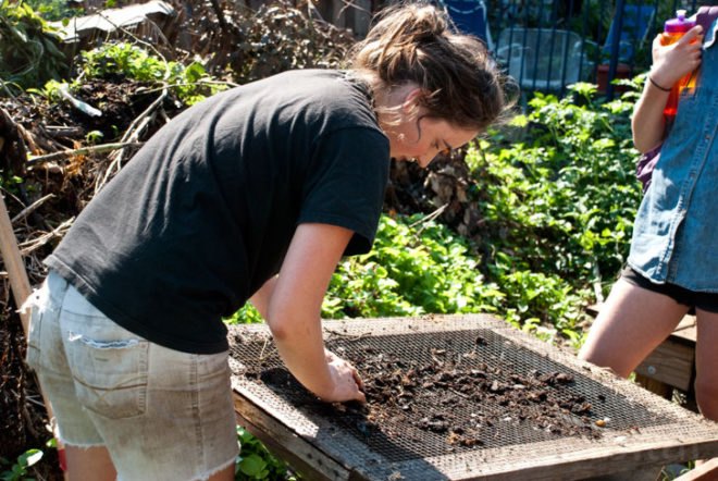 A Better World by Design; City Farm; urban agriculture; Southside Community Land Trust; CSA; Community Land Trust; community; land trust; urban; agriculture; urban landscape; green space; eco-farm; foreclosure; plots; garden; urban gardening; sustainability; farmers market; farmers markets; produce; plants; crops; food; food system; food systems; farming; farmer; farmers; urban farm; urban farming; crop production; self-sufficiency; energy efficient; energy efficiency; greenhouse; solar panel; solar panels; compost; composting; education; educational