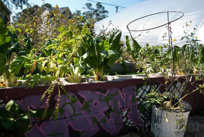 A Better World by Design; City Farm; urban agriculture; Southside Community Land Trust; CSA; Community Land Trust; community; land trust; urban; agriculture; urban landscape; green space; eco-farm; foreclosure; plots; garden; urban gardening; sustainability; farmers market; farmers markets; produce; plants; crops; food; food system; food systems; farming; farmer; farmers; urban farm; urban farming; crop production; self-sufficiency; energy efficient; energy efficiency; greenhouse; solar panel; solar panels; compost; composting; education; educational