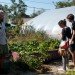 A Better World by Design; City Farm; urban agriculture; Southside Community Land Trust; CSA; Community Land Trust; community; land trust; urban; agriculture; urban landscape; green space; eco-farm; foreclosure; plots; garden; urban gardening; sustainability; farmers market; farmers markets; produce; plants; crops; food; food system; food systems; farming; farmer; farmers; urban farm; urban farming; crop production; self-sufficiency; energy efficient; energy efficiency; greenhouse; solar panel; solar panels; compost; composting; education; educational