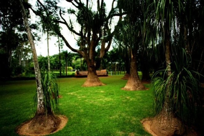 botanical garden art park, brazil countryside art, inhotim, brazil art park, roberto burle marx, minas gerais art park, bernardo paz, estate contemporary art park brazil