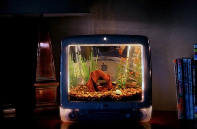 green design, eco design, sustainable design, Apple G3 iMac, recycled Mac computer, Jake Harms, Macquariums, upcycled computer, innovative fish tanks