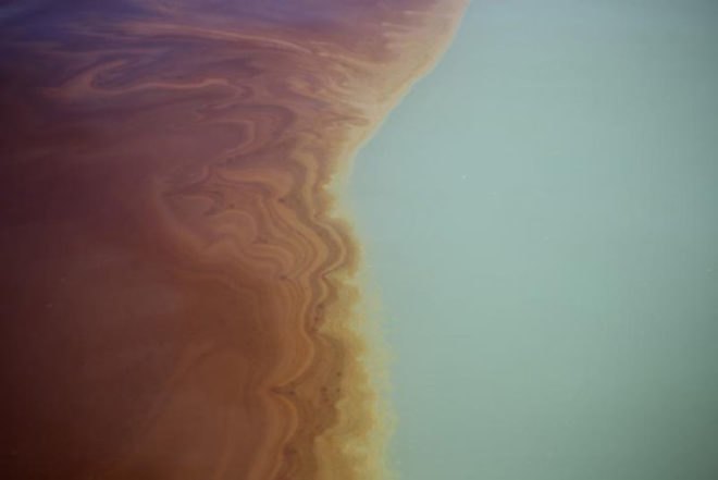 Elastec/American Marine, Wendy Schmidt, oil spill, BP, X Challenge, energy,
