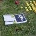 Apple, apples, organic, organic art, land art, Olivier Lefebvre, Quebec, Canada, Landart Contest, Land Art Contest, Landart, art, Steve Jobs, Tribute, hommage, artist, natural, orchard, fall, competition, green, red, 3500, 3500 apples, eco art, sustainable art, sustainability, green art, green, eco, Inhabitat