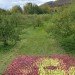 Apple, apples, organic, organic art, land art, Olivier Lefebvre, Quebec, Canada, Landart Contest, Land Art Contest, Landart, art, Steve Jobs, Tribute, hommage, artist, natural, orchard, fall, competition, green, red, 3500, 3500 apples, eco art, sustainable art, sustainability, green art, green, eco, Inhabitat
