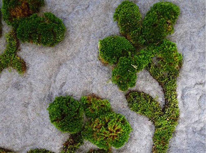 green design, eco design, sustainable design, Garden Rug, Pia Wustenberg, Indoor Garden, Apartment Living, home garden
