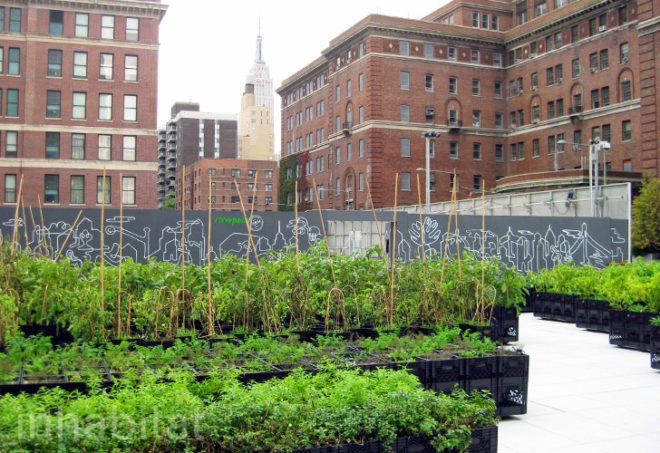 Riverpark Farm, Riverpark Farm nyc, riverpark restaurant, urban farming, urban farm, sustainable food, ore design, thomas kosbau, riverpark restaurant nyc, alexandria center farm