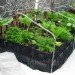 Riverpark Farm, Riverpark Farm nyc, riverpark restaurant, urban farming, urban farm, sustainable food, ore design, thomas kosbau, riverpark restaurant nyc, alexandria center farm