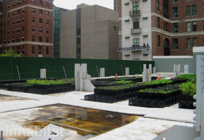 Riverpark Farm, Riverpark Farm nyc, riverpark restaurant, urban farming, urban farm, sustainable food, ore design, thomas kosbau, riverpark restaurant nyc, alexandria center farm
