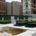 Riverpark Farm, Riverpark Farm nyc, riverpark restaurant, urban farming, urban farm, sustainable food, ore design, thomas kosbau, riverpark restaurant nyc, alexandria center farm