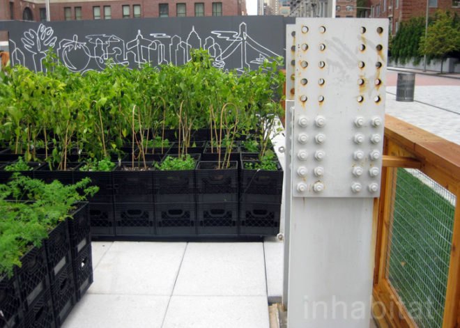 Riverpark Farm, Riverpark Farm nyc, riverpark restaurant, urban farming, urban farm, sustainable food, ore design, thomas kosbau, riverpark restaurant nyc, alexandria center farm