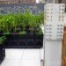 Riverpark Farm, Riverpark Farm nyc, riverpark restaurant, urban farming, urban farm, sustainable food, ore design, thomas kosbau, riverpark restaurant nyc, alexandria center farm