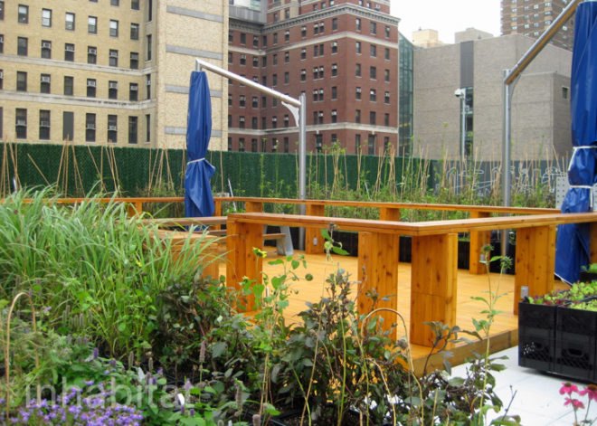 Riverpark Farm, Riverpark Farm nyc, riverpark restaurant, urban farming, urban farm, sustainable food, ore design, thomas kosbau, riverpark restaurant nyc, alexandria center farm