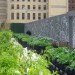 Riverpark Farm, Riverpark Farm nyc, riverpark restaurant, urban farming, urban farm, sustainable food, ore design, thomas kosbau, riverpark restaurant nyc, alexandria center farm