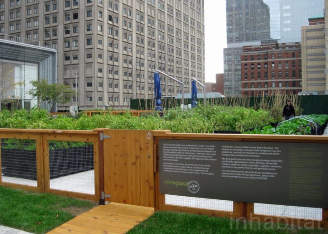 Riverpark Farm, Riverpark Farm nyc, riverpark restaurant, urban farming, urban farm, sustainable food, ore design, thomas kosbau, riverpark restaurant nyc, alexandria center farm