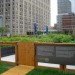 Riverpark Farm, Riverpark Farm nyc, riverpark restaurant, urban farming, urban farm, sustainable food, ore design, thomas kosbau, riverpark restaurant nyc, alexandria center farm