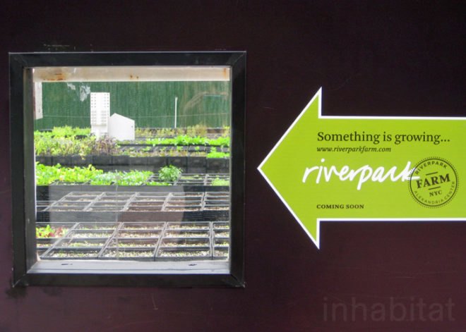 Riverpark Farm, Riverpark Farm nyc, riverpark restaurant, urban farming, urban farm, sustainable food, ore design, thomas kosbau, riverpark restaurant nyc, alexandria center farm