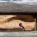 Snøhetta Mountain, cnc wall, environmental pavilion, green pavilion, Norwegian pavilion, Snohetta architecture, wood wall, Norwegian Wild Reindeer Foundation, Tverrfjellet plateau, Norwegian Tourist pavilion, contemporary Norwegian architecture,