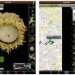Leafsnap App, leafsnap, smithsonian institute, nyc trees, new york city trees, fall foliage, columbia university, university of maryland, leaf id app