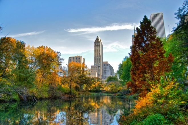 Eco-Friendly Fall Fun in NYC, fall activities, fall food, fall foliage, fall in new york, halloween new york, pumpkin picking nyc, queens country farm museum, haunted houses nyc, fall greenmarket vegetables