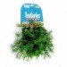 chia pet dog costume, halloween, halloween dog costume, eco costume, diy halloween costume, green design, sustainable design, green halloween, green halloween costume contest