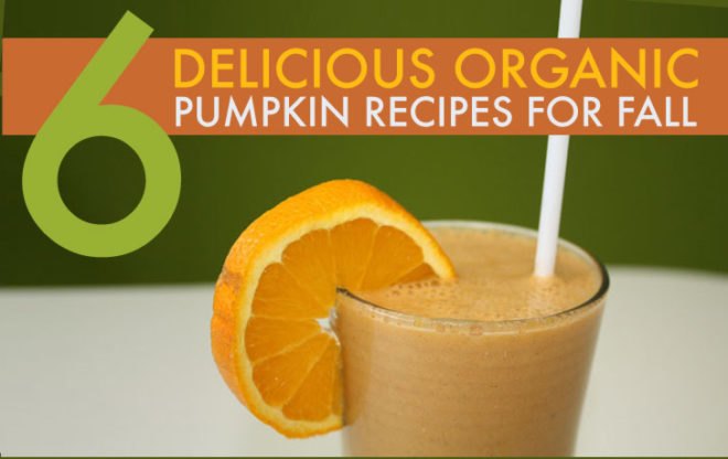 DIY, pumpkin, organic recipes, pumpkin shake, pumpkin butter, pumpkin pudding, pumpkin soup, pumpkin pasta sauce, roasted pumpkin seeds