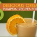 DIY, pumpkin, organic recipes, pumpkin shake, pumpkin butter, pumpkin pudding, pumpkin soup, pumpkin pasta sauce, roasted pumpkin seeds