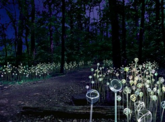 bruce munro light installation, longwood gardens, bruce munro, fiber optics, light installation, light art, urban design, landscape design