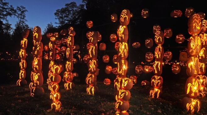 The Great Jack O'Lantern Blaze, Blaze, Jack O'Lantern, Jack O'Lantern Blaze, Halloween, pumpkin, pumpkins, pumpkin carving, land art, installation, installation art, landscape, natural landscape, eco design, landscape design, Hudson Valley, Van Cortlandt Manor, Michael Natiello, New York, upstate New York, waterfront, Hudson River, Jay Woods, artist, music, food, festival, harvest, night, dinosaurs, mummies, pyramids, tomb