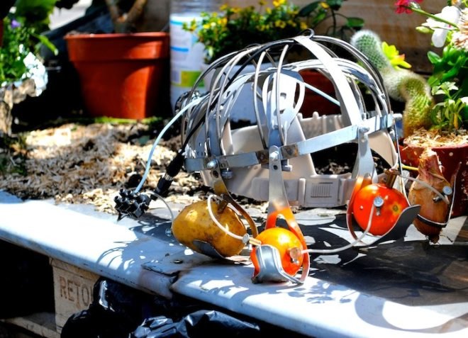 La Machine, Alternative Energy, Aeroflorale II, Bauhaus Color Festival, green design, eco-design, sustainable design, flying objects, propellers, alternative energy, hanging garden, Germany, botanical expedition, flora, Vladimir Tatlin