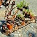 La Machine, Alternative Energy, Aeroflorale II, Bauhaus Color Festival, green design, eco-design, sustainable design, flying objects, propellers, alternative energy, hanging garden, Germany, botanical expedition, flora, Vladimir Tatlin
